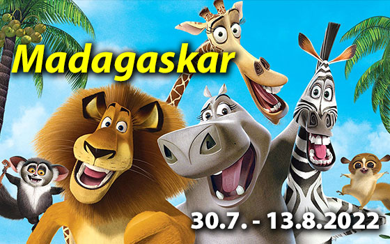 Letní tábor 2022 program 3 běh Madagaskar